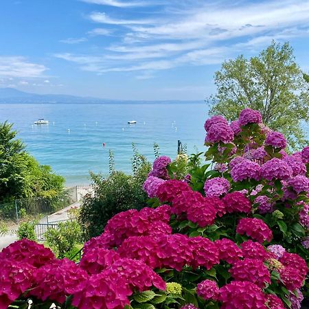 Front Lake Amazing View Manerba del Garda Exteriör bild