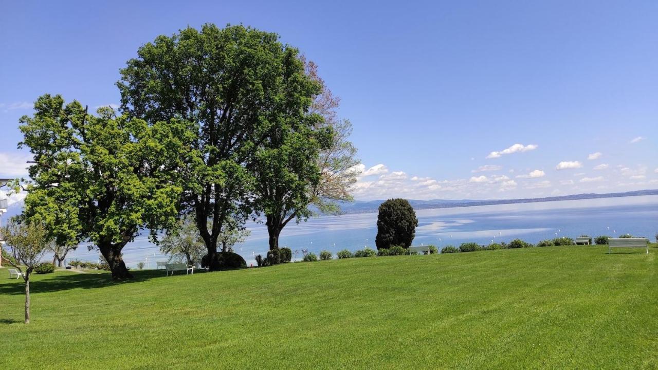 Front Lake Amazing View Manerba del Garda Exteriör bild