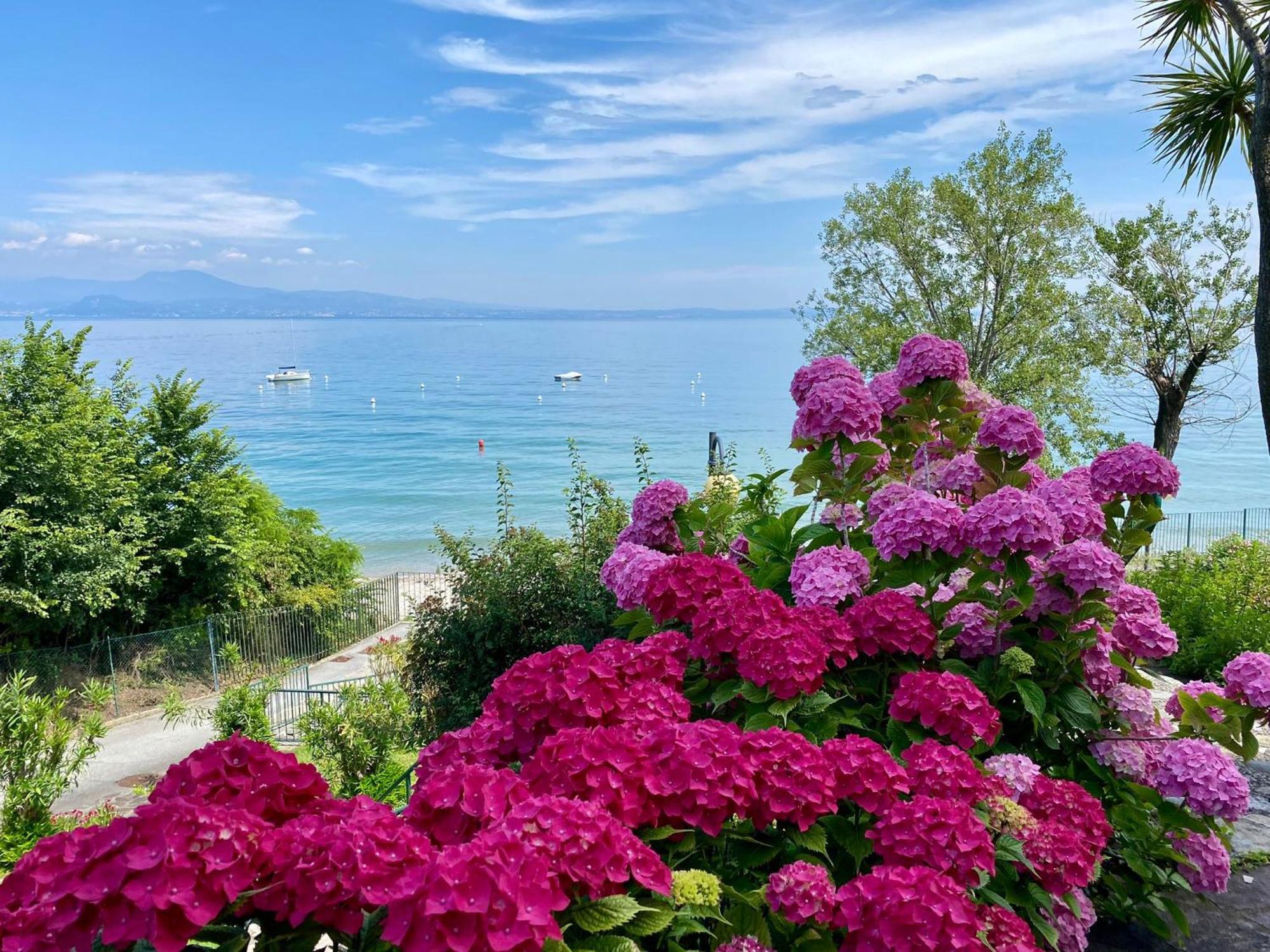 Front Lake Amazing View Manerba del Garda Exteriör bild